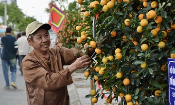 Đặc sắc ngày hội quật cảnh Cẩm Hà lần thứ X