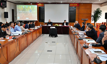 Gỡ 'nút thắt' cho ngành sắn, hướng tới mục tiêu xuất khẩu 2,5 tỷ USD