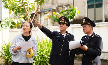 Cục Hải quan ban hành kế hoạch hỗ trợ pháp lý cho doanh nghiệp