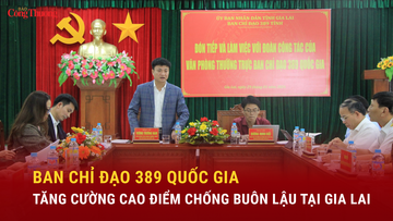 Ban Chỉ đạo 389 quốc gia tăng cường cao điểm chống buôn lậu tại Gia Lai