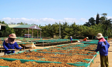 Gia Lai: Công nghiệp, thương mại khởi sắc tháng đầu năm