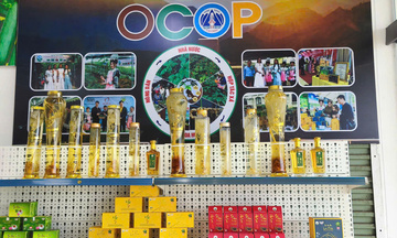 Lai Châu mang sắc xuân vùng cao đến Hội chợ Mùa Xuân 2026