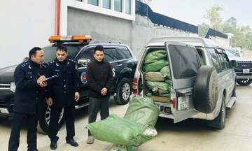 Bắt giữ gần 800 kg lá cây thuốc lá không có chứng từ hợp pháp tại Cao Bằng