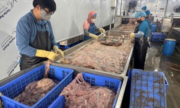 Cận cảnh kho lạnh ở Hà Nội trữ gần 60 tấn lòng lợn không rõ nguồn gốc