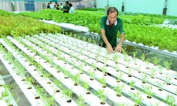 Trợ lực tài chính xanh cho doanh nghiệp nhỏ và vừa trong kỷ nguyên số