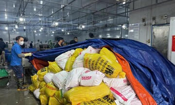 Hà Nội liên tiếp xử lý thực phẩm không rõ nguồn gốc số lượng lớn