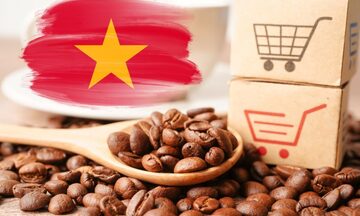 Khuyến nghị then chốt để cà phê Việt đáp ứng yêu cầu bền vững của EU