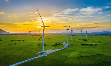 Đấu thầu dự án năng lượng tái tạo: Việt Nam học gì từ kinh nghiệm thế giới?