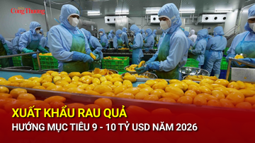 Xuất khẩu rau quả hướng mục tiêu 9 - 10 tỷ USD năm 2026
