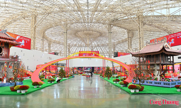 Miễn phí 100% mặt bằng trưng bày hoa, cây cảnh tại Hội chợ Mùa Xuân