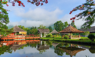 Nhà hàng Hoa Anh Đào - hương vị núi rừng mời gọi