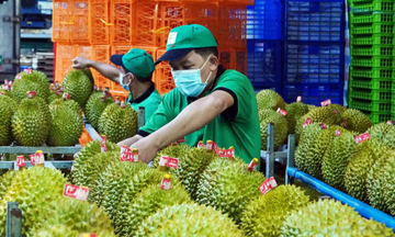 Infographic | 10 nhóm hàng xuất khẩu chủ lực của ngành nông nghiệp