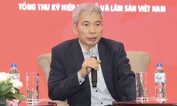 'Giải bài toán' tăng năng lực xuất khẩu bền vững cho ngành gỗ