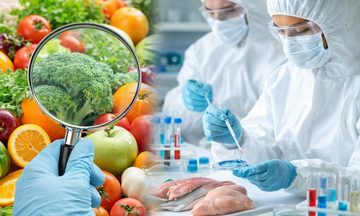 Bộ Công Thương tháo gỡ vướng mắc thông quan theo Nghị định 46