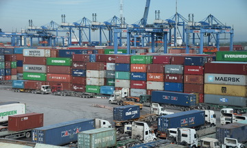 TP. Hồ Chí Minh: Tạm áp dụng thủ tục cũ để thông quan hàng hóa