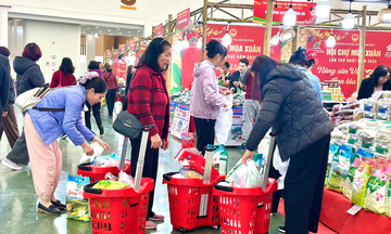 Hội chợ Mùa Xuân vào cửa tự do, gửi xe miễn phí