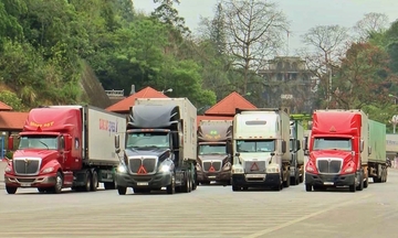 Gỡ vướng kiểm tra thực phẩm, đảm bảo thông quan thông suốt