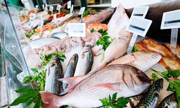 Khẩn trương gỡ khó cho xuất khẩu thủy sản sang Hoa Kỳ