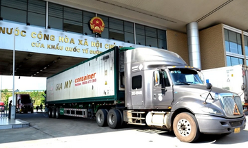 Tạm dừng áp dụng Nghị định số 46 đến hết ngày 15/4/2026