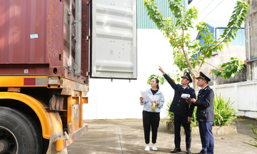 Tăng cường kiểm soát đá nhân tạo, gạch ốp lát nhập khẩu 