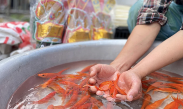 Cúng ông Công ông Táo và những lưu ý quan trọng để cả năm may mắn