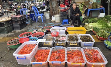 Cá chép đỏ 'hút' khách tại chợ dân sinh trước ngày 23 tháng Chạp