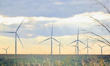 Gia Lai sẽ có thêm loạt dự án điện gió nghìn tỷ đồng 