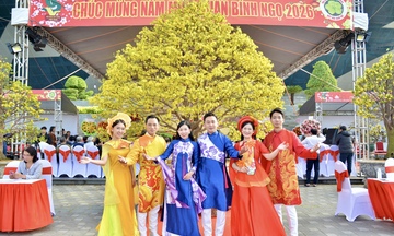 Đà Nẵng: Mai vàng, sinh vật cảnh bừng sắc xuân