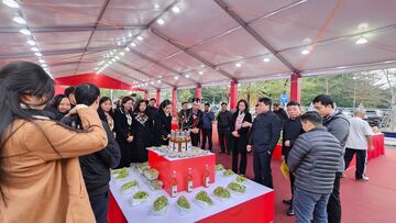 Hà Nội mở thêm gần 300 gian hàng OCOP phục vụ người dân dịp Tết 2026