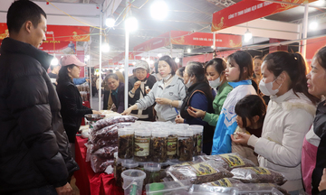 Hàng Việt lan tỏa về ngoại thành, giữ ổn định thị trường tết Bính Ngọ