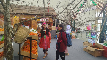 'Hội chợ Mùa Xuân là cơ hội tốt để kết nối đối tác'