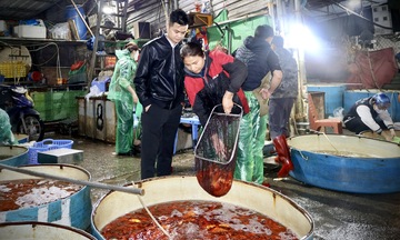 Chợ cá lớn nhất miền Bắc nhộn nhịp trong ngày tiễn ông Công ông Táo