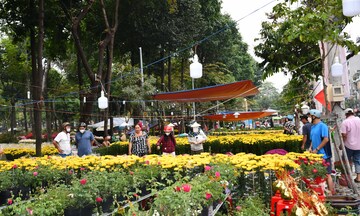 TP. Hồ Chí Minh: Nhộn nhịp chợ hoa tết Bính Ngọ 2026