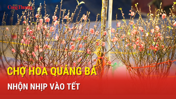Chợ hoa Quảng Bá nhộn nhịp vào Tết