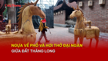 ‘Ngựa về phố’ và hơi thở đại ngàn giữa đất Thăng Long