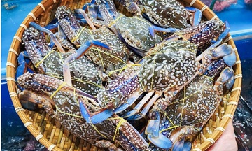 Xuất khẩu ghẹ Việt Nam cần chuyển hướng sang thị trường EU và CPTPP