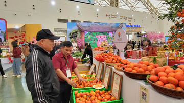 Hàng Việt chất lượng cao ‘bội thu’ tại Hội chợ Mùa Xuân 2026