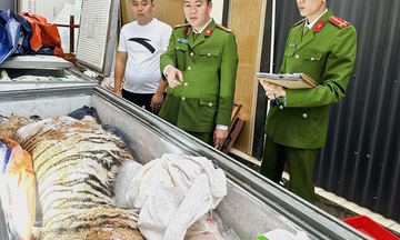 Thanh Hóa: Bắt 2 đối tượng trong đường dây mua bán, nấu cao hổ Nhóm IB