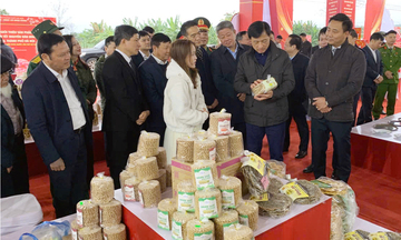 Sắc xuân rộn ràng tại ngoại thành Hà Nội