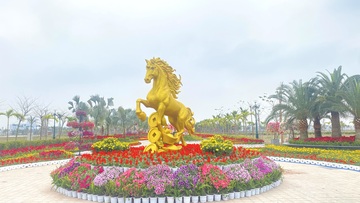 Hải Phòng rực rỡ sắc xuân chào đón tết Nguyên đán 2026