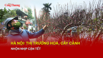 Hà Nội: Thị trường hoa, cây cảnh nhộn nhịp cận Tết
