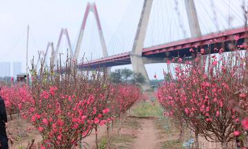 Không để xảy ra khan hiếm, đầu cơ, tăng giá bất hợp lý trong dịp Tết