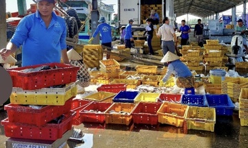 Ven biển Cần Thơ rộn ràng đón Tết, sinh kế biển thêm khởi sắc