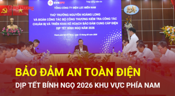 Bảo đảm an toàn điện dịp tết Bính Ngọ 2026 khu vực phía Nam