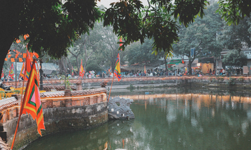 Xuân về qua phiên chợ hơn một thế kỷ tại Hà Nội