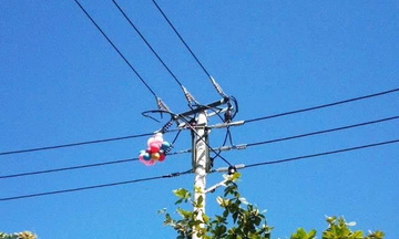 Miền Trung: Đảm bảo an toàn hành lang lưới điện dịp Tết