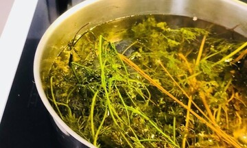 Hương mùi già chiều cuối năm