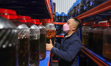 Giữ vị Tết quê: Hành trình trở về của chàng kiến trúc sư làng Bách Cốc