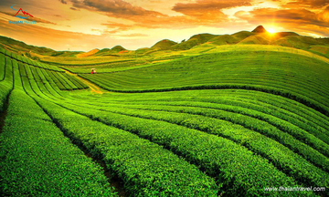 Những điểm đến hấp dẫn nhất dịp đầu xuân Bính Ngọ 2026