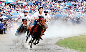 Năm Bính Ngọ mạn bàn về 'người bạn' của đồng bào vùng cao